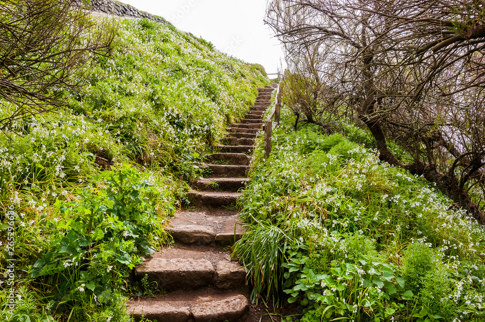 Lizard Point, Halbinsel, Küste, Küstenwanderweg, Treppe, Cornwall, Frühling, Südengland Lizard Point, Halbinsel, Küste, Küstenwanderweg, Treppe, Cornwall, Frühling, Südengland
