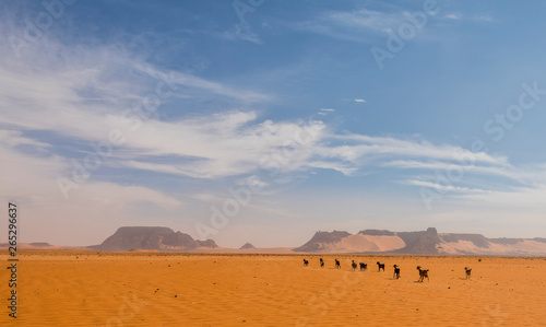 Desert scenery in northern Chad photo