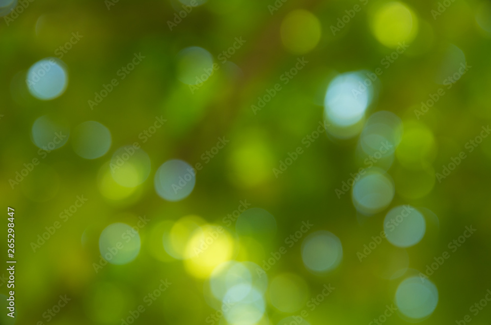 Fototapeta premium Naturalne tło zamazane pole.