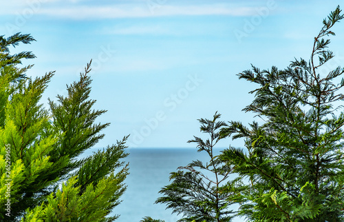 Beautiful trees view with sea and cloudy sky.