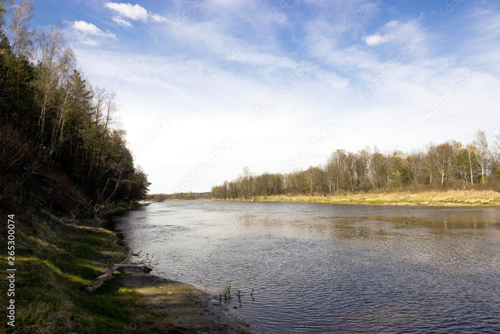 Bug river on sunny day