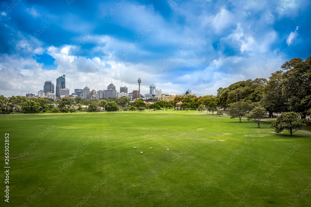 Sydney City Skyline from Moore Park