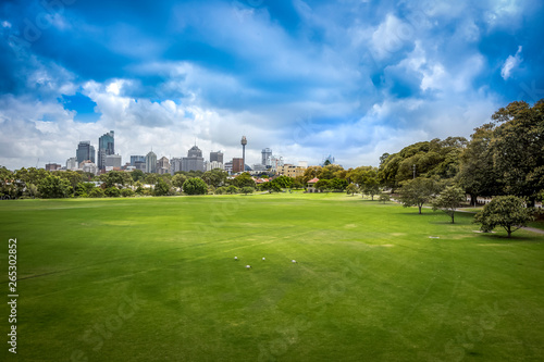 Photography Sydney City Skyline from Moore Park