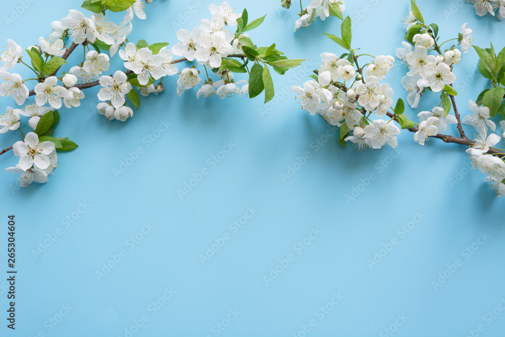 Border of spring white blossom branches on pastel blue. Floral pattern. Space for text. Border of spring white blossom branches on pastel blue. Floral pattern. Space for text.