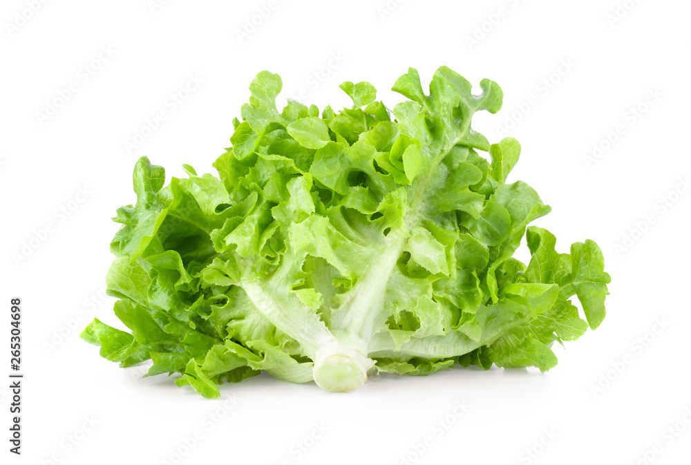 Lettuce vegatable isolated on white background. full depth of field Lettuce vegatable isolated on white background. full depth of field