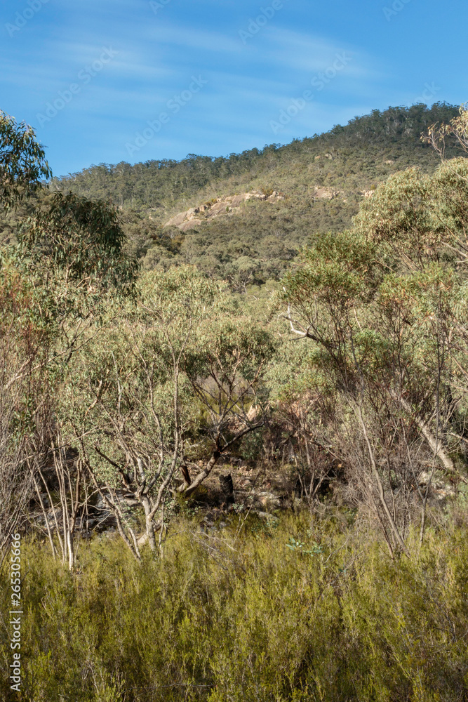 Fototapeta premium Looking to Mount Tennent from Cypress Pine Lookout at Namadgi National Park, Canberra, Australia on a morning in April 2019