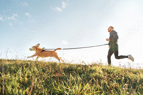 Canicross exercises. Man runs with his beagle dog. Outdoor sport activity with pet