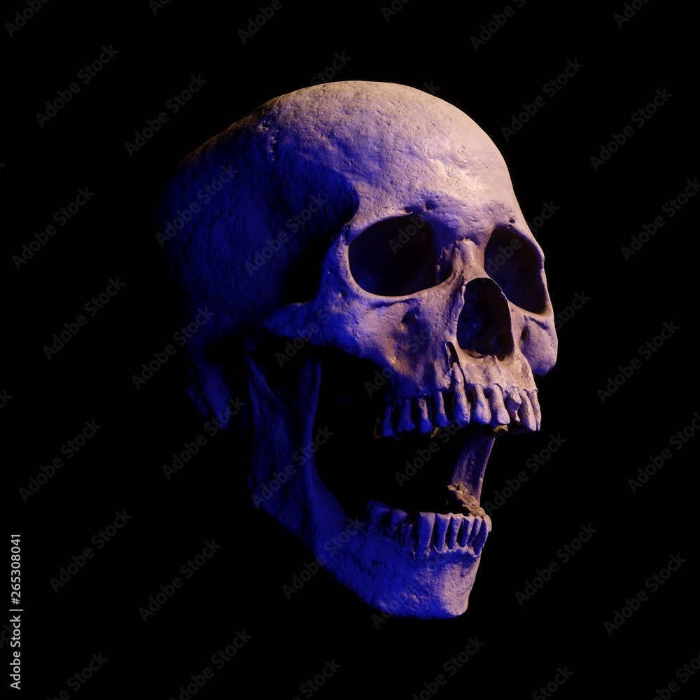 Obraz premium 3D rendering skull isolated
