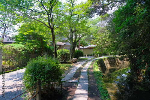 京都市 哲学の道