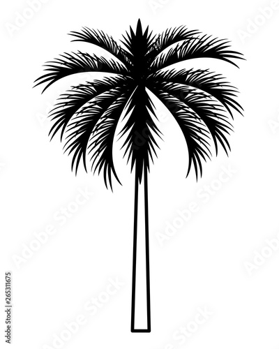 palm tree cartoon