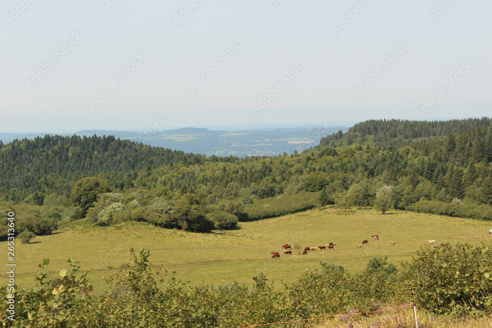 view of landscape france