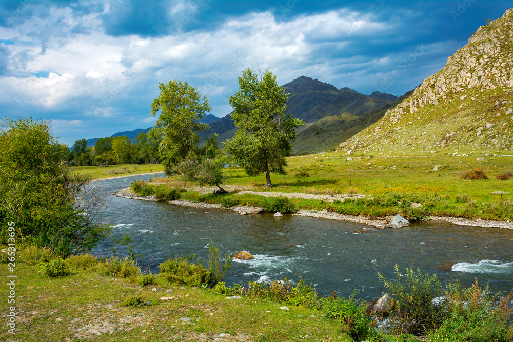 Ursul river in the Altai mountains,