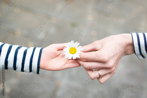 白い花を手渡す親子