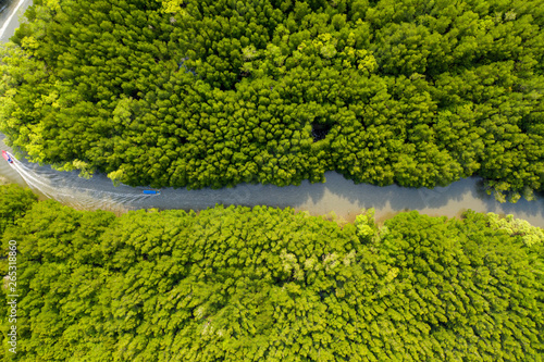 Aerial view of the boat along the tropical mangrove forest.