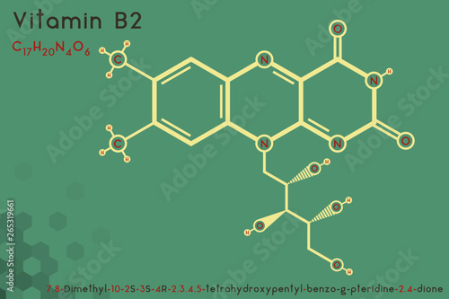 Large and detailed infographic of the molecule of Vitamin B2.