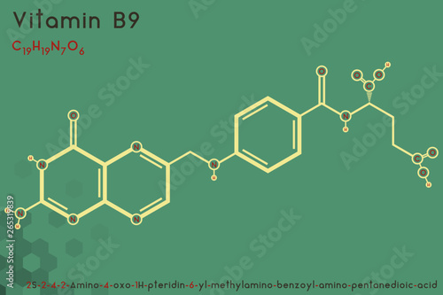 Large and detailed infographic of the molecule of Vitamin B9.