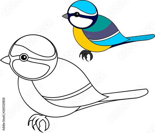 Coloring page. Stylized Eurasian blue tit (Cyanistes caeruleus) in flat style