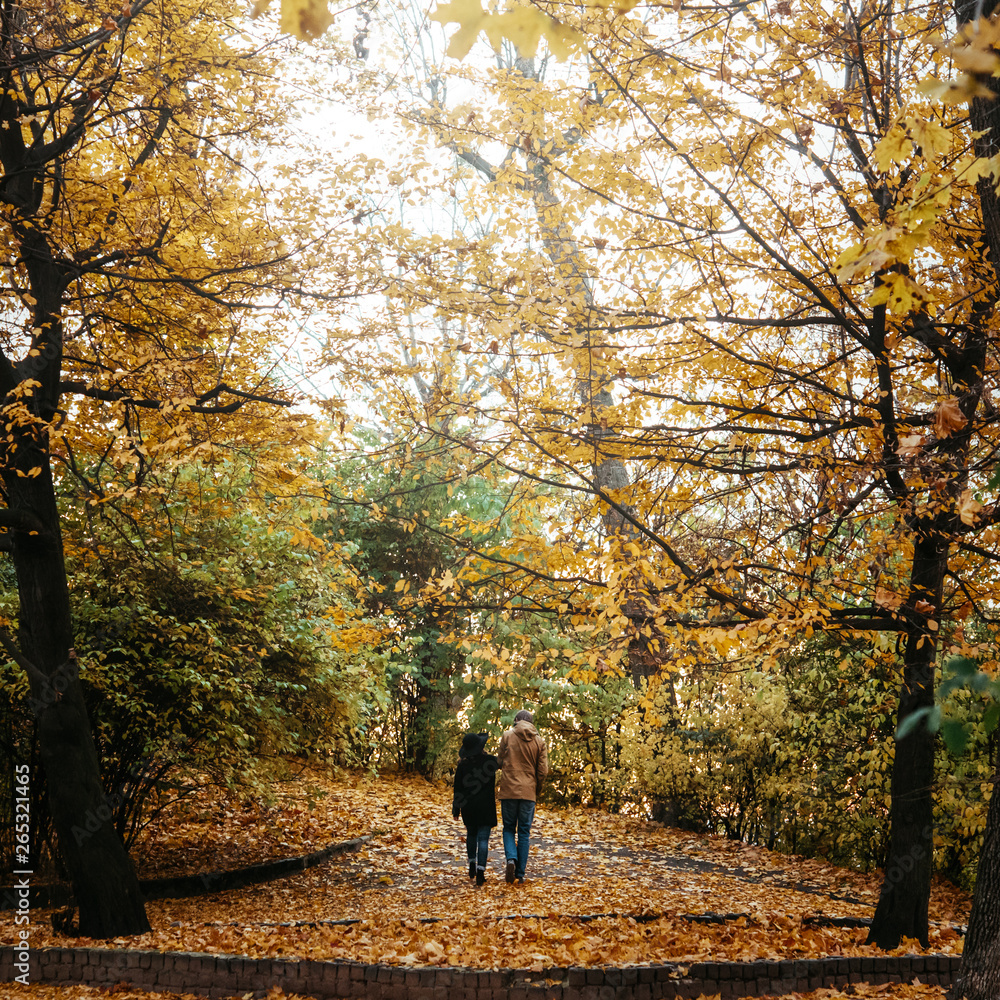 attractive happy luxury couple walking and holding hands in autumn colorful park attractive happy luxury couple walking and holding hands in autumn colorful park