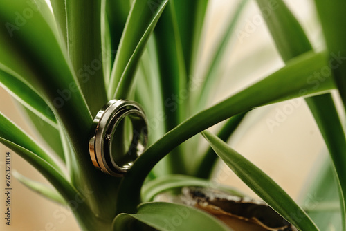 luxury gorgeous wedding rings with diamonds on beautiful green plant
