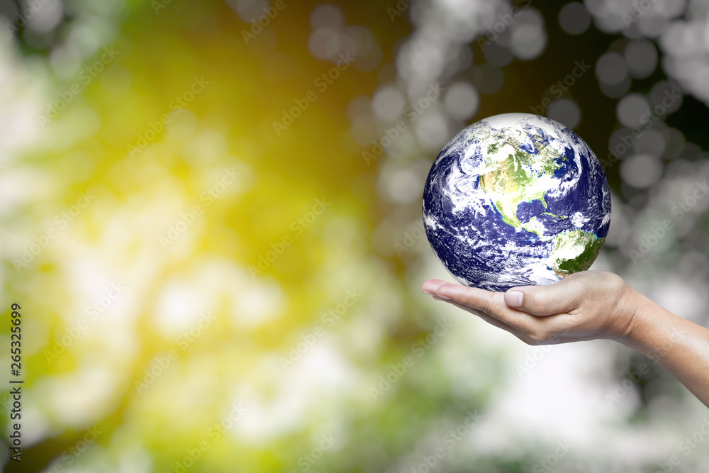 World in Hand and Blurred Beautiful Bokeh in the Garden Background with Space for Text, Suitable for Business and Environment Concept. Elements of this Image Furnished by Nasa. World in Hand and Blurred Beautiful Bokeh in the Garden Background with Space for Text, Suitable for Business and Environment Concept. Elements of this Image Furnished by Nasa.
