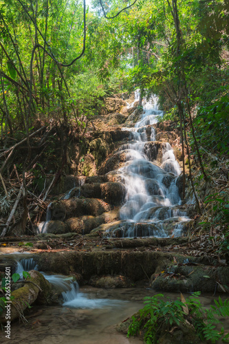 waterfall in the forest