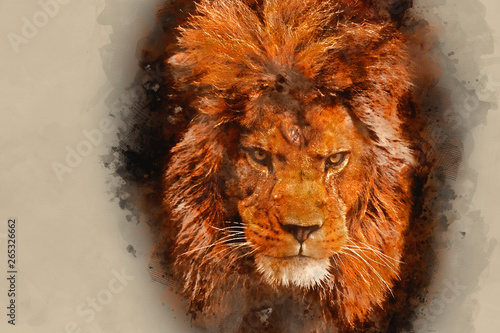 Watercolour painting of Stunning facial portrait of male lion on black background