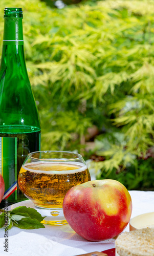 Glass with fresh cold French apple cider drink served with apples in green garden