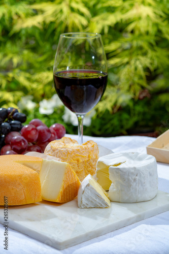 French cheeses collection, yellow Riche de Saveurs, Vieux Pane and Le peche des bons peres cheeses served with glass of red port wine on marble plate outdoor in green garden