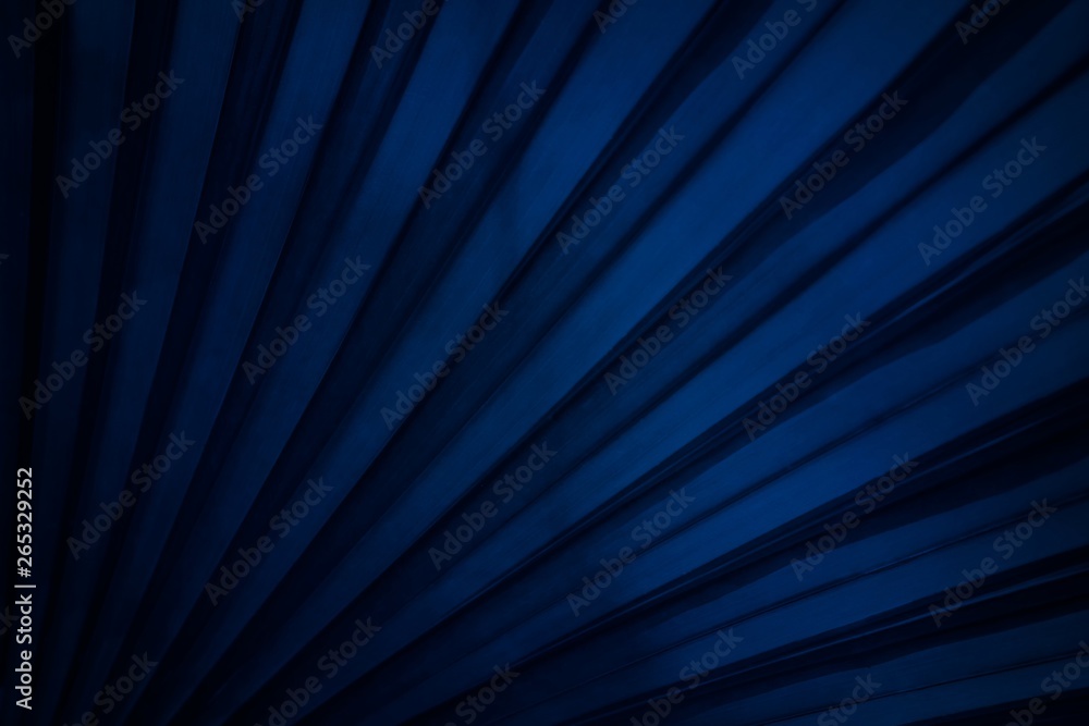 Close up Leaf Texture Background with Dark Blue Tone. Close up Leaf Texture Background with Dark Blue Tone.