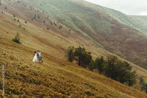 gorgeous bride and stylish groom walking at sunny landscape, boho wedding couple, luxury ceremony at mountains with amazing view, space for text