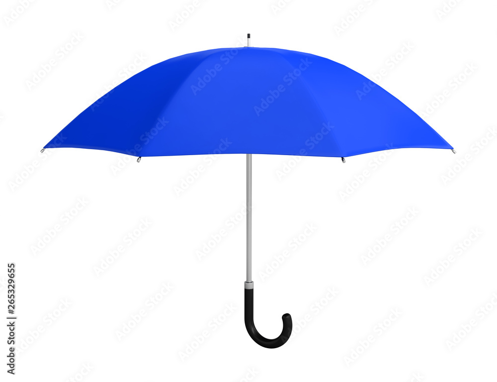 umbrella protection rain accessory 