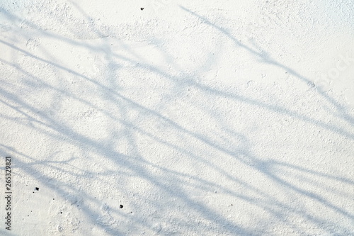 Shadow of Tree Branches on White Cool Concrete Wall Background.