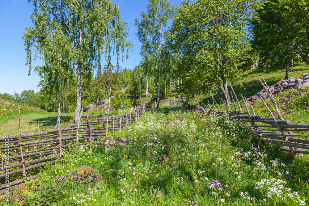 Wild flowers on a summer meadow with wooden roundpole fence