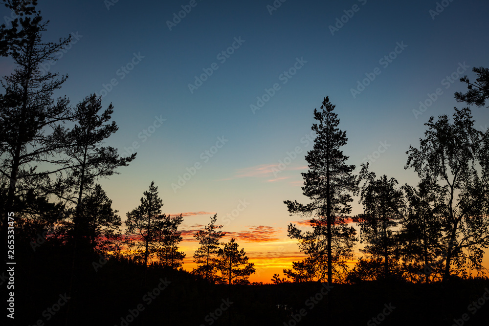 Colorful clouds sunset forest background