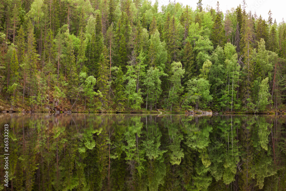 Landscape reflection from forest lake in Finland