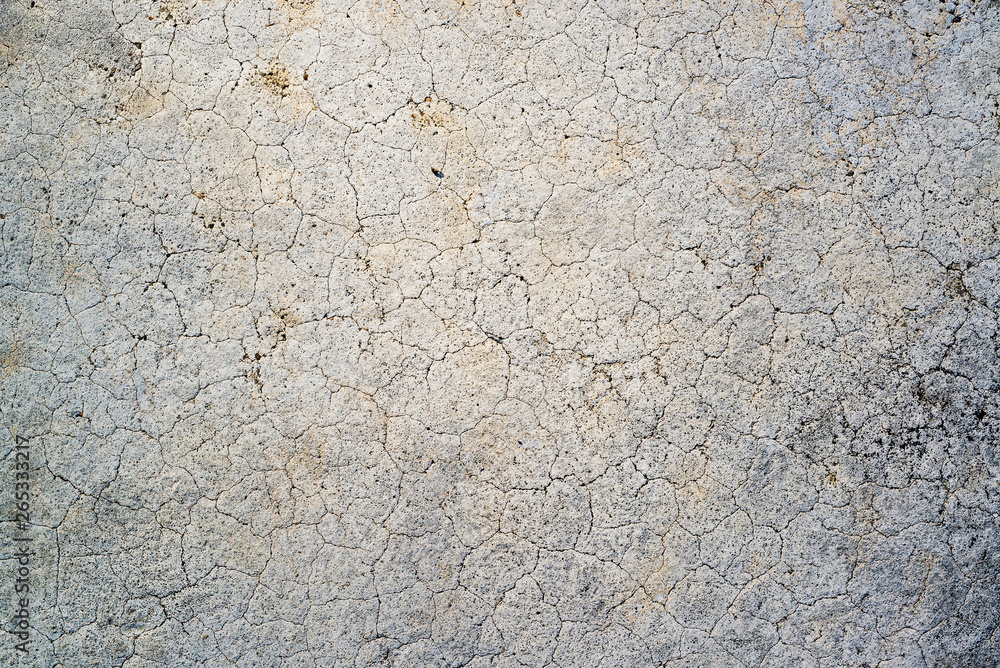 Texture, selective focus (detailed close-up shot) Texture, selective focus (detailed close-up shot)