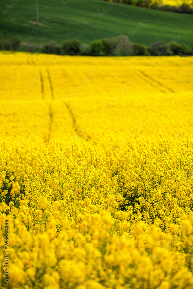 Scenic view of beautiful Moravian Tuscany landscape in South Moravia, Czech Republic.