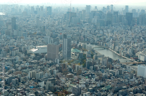 東京スカイツリーから見た都市景観