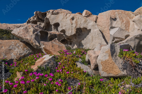 La Maddalena Archipelago National Park, on the coast of Sardinia province of Sassari, northern Sardinia, Italy.