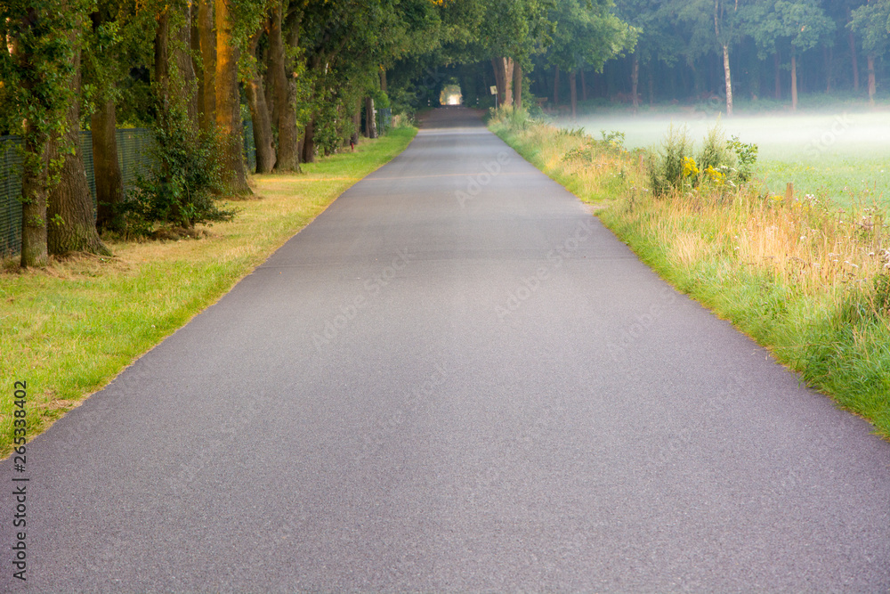 Polna droga asfaltowa i mgła