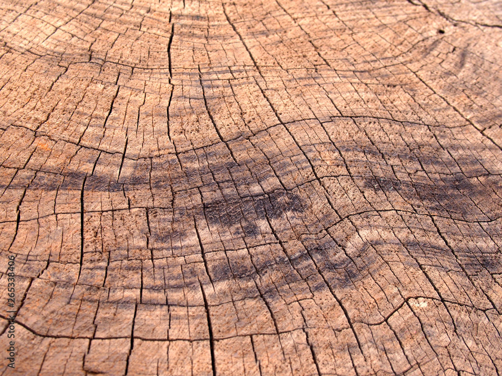 old rough brown timber surface with darker scorch marks and cracks following the growth rings old rough brown timber surface with darker scorch marks and cracks following the growth rings