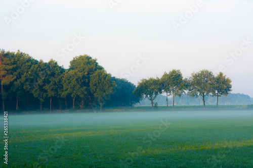 Pola na wsi z rana podczas mgły i wschodu słońca