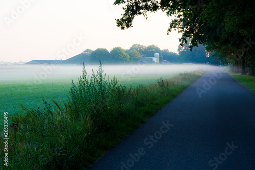 Mgła i wiejska droga asfaltowa 