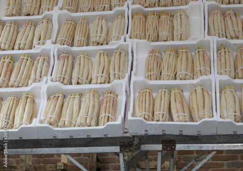 many boxes of polystyrene in the greengrocery shop with white as