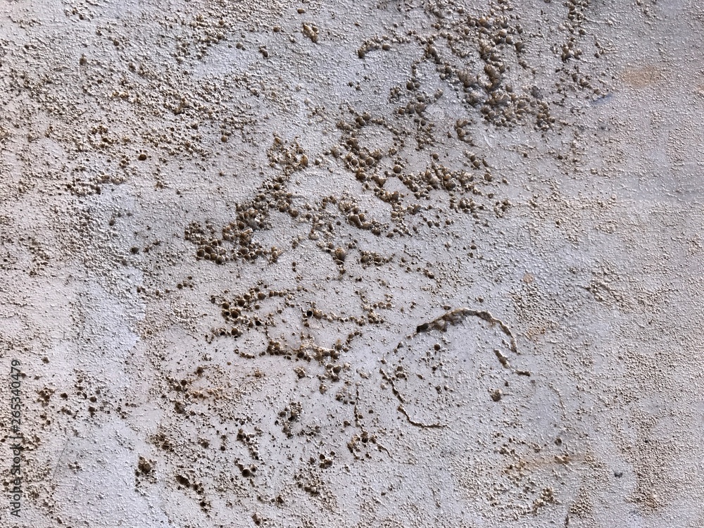 Background of smooth marble. Italian style. Texture Background of smooth marble. Italian style. Texture