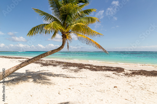 Beautiful white sand beach in Akumal Mexico. Beach in Cancun on the Yucatan Peninsula