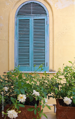 arched window with painted wooden shutters