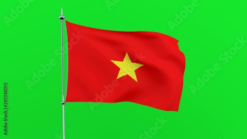Flag of the country   Vietnam on green background. 3D rendering