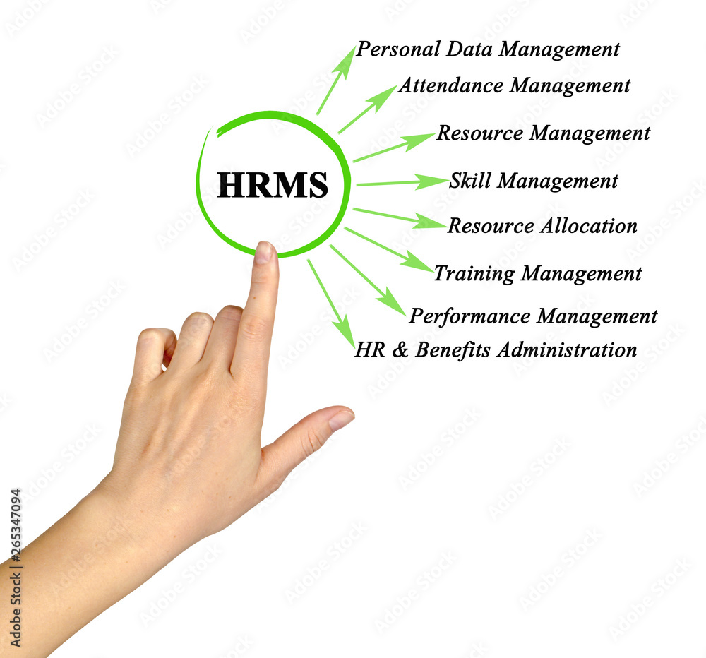 Functions of human resource management system Functions of human resource management system