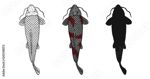 Koi fish vector tattoo by hand drawing.Beautiful fish on white background.Black and white graphics design art highly detailed in line art style.Carp fish for tattoo or wallpaper.
